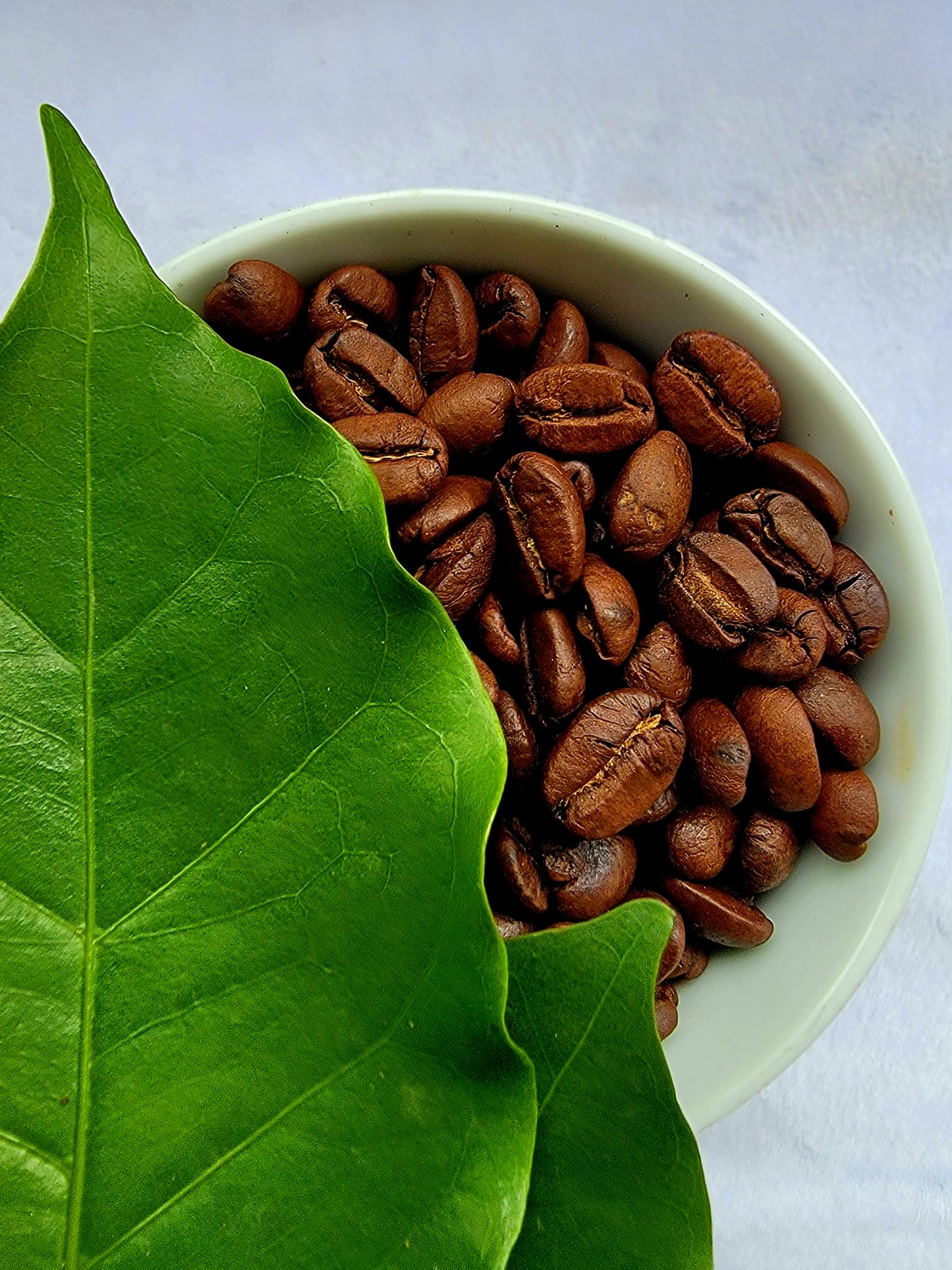 Café en Grano 8onz