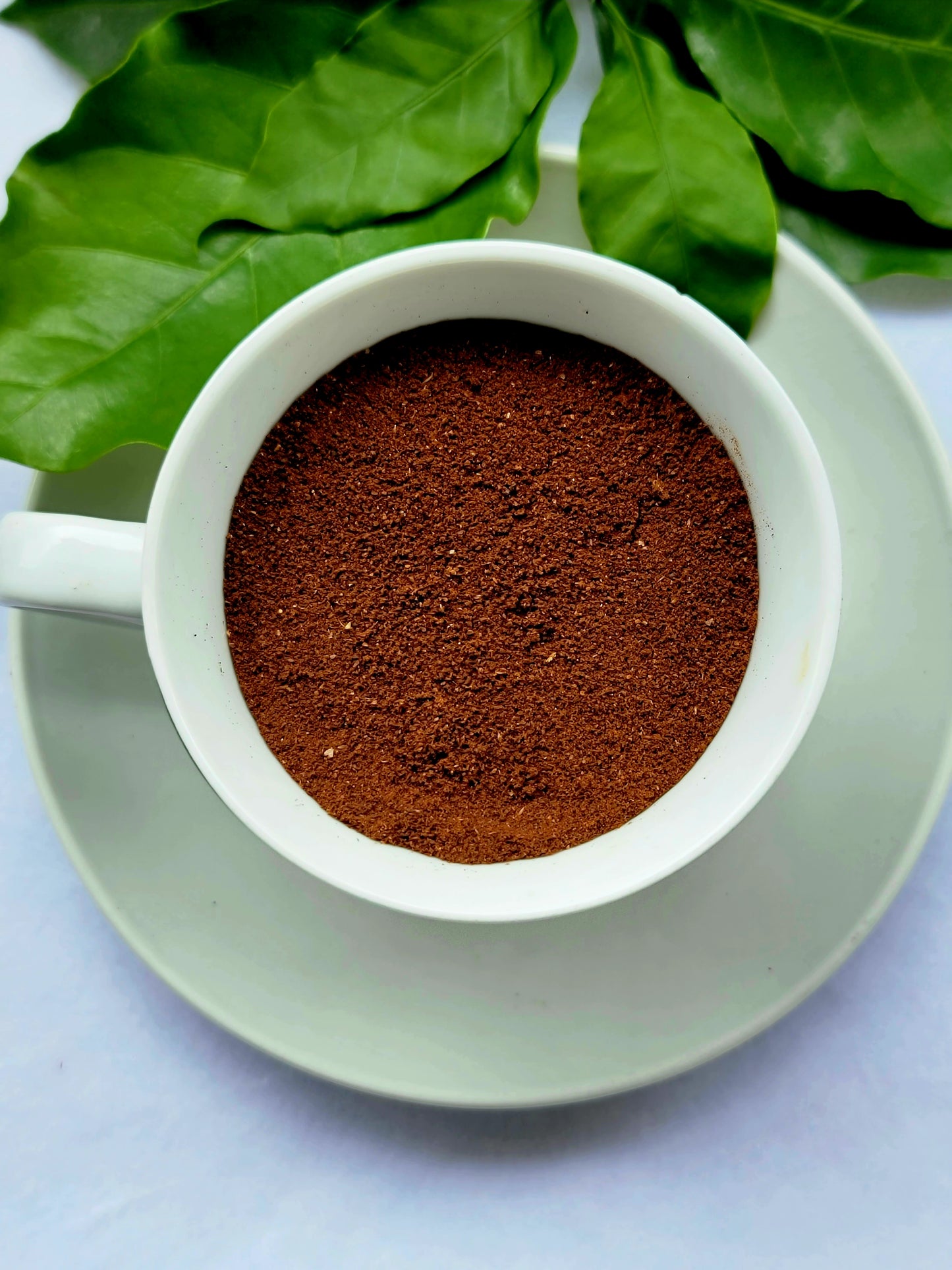 Café Molido 8oz