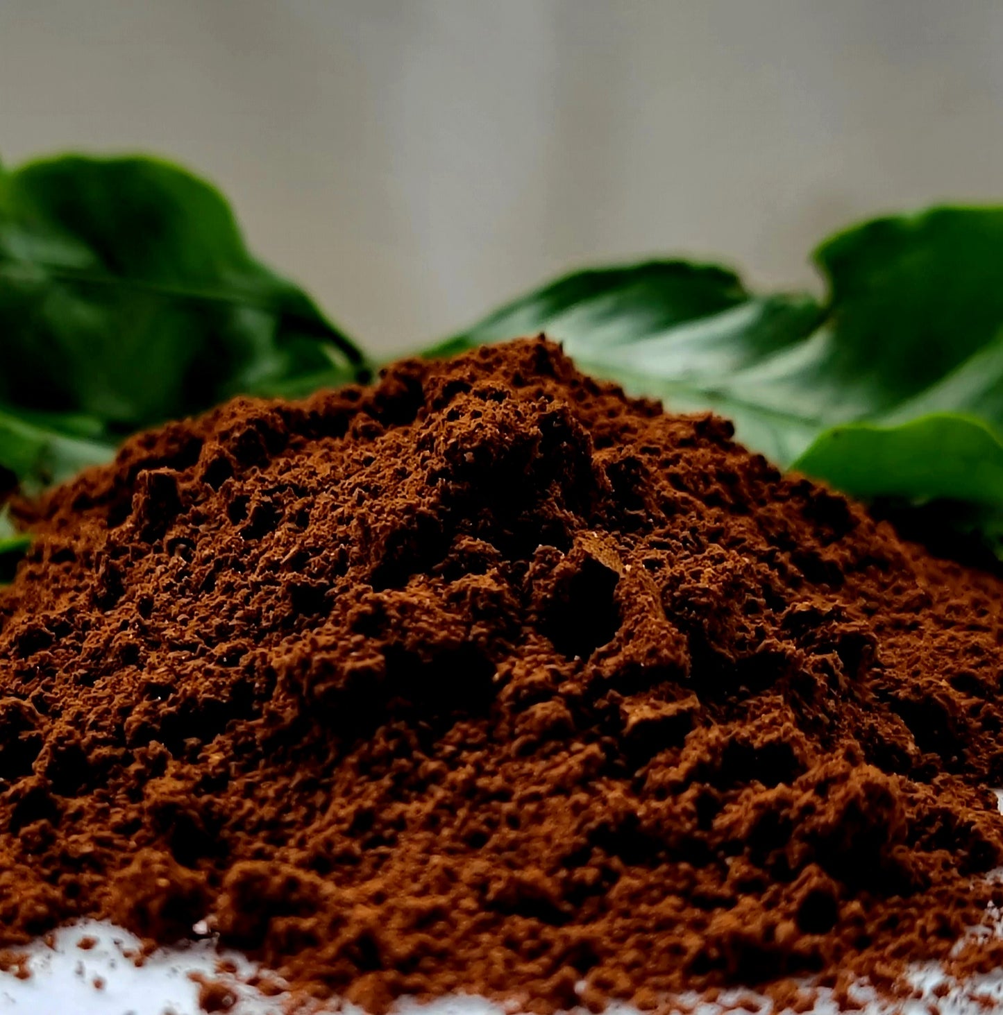 Café Molido 8oz