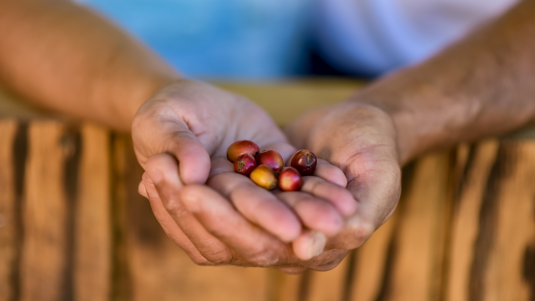 Café Xiojana Cafe Xiojana